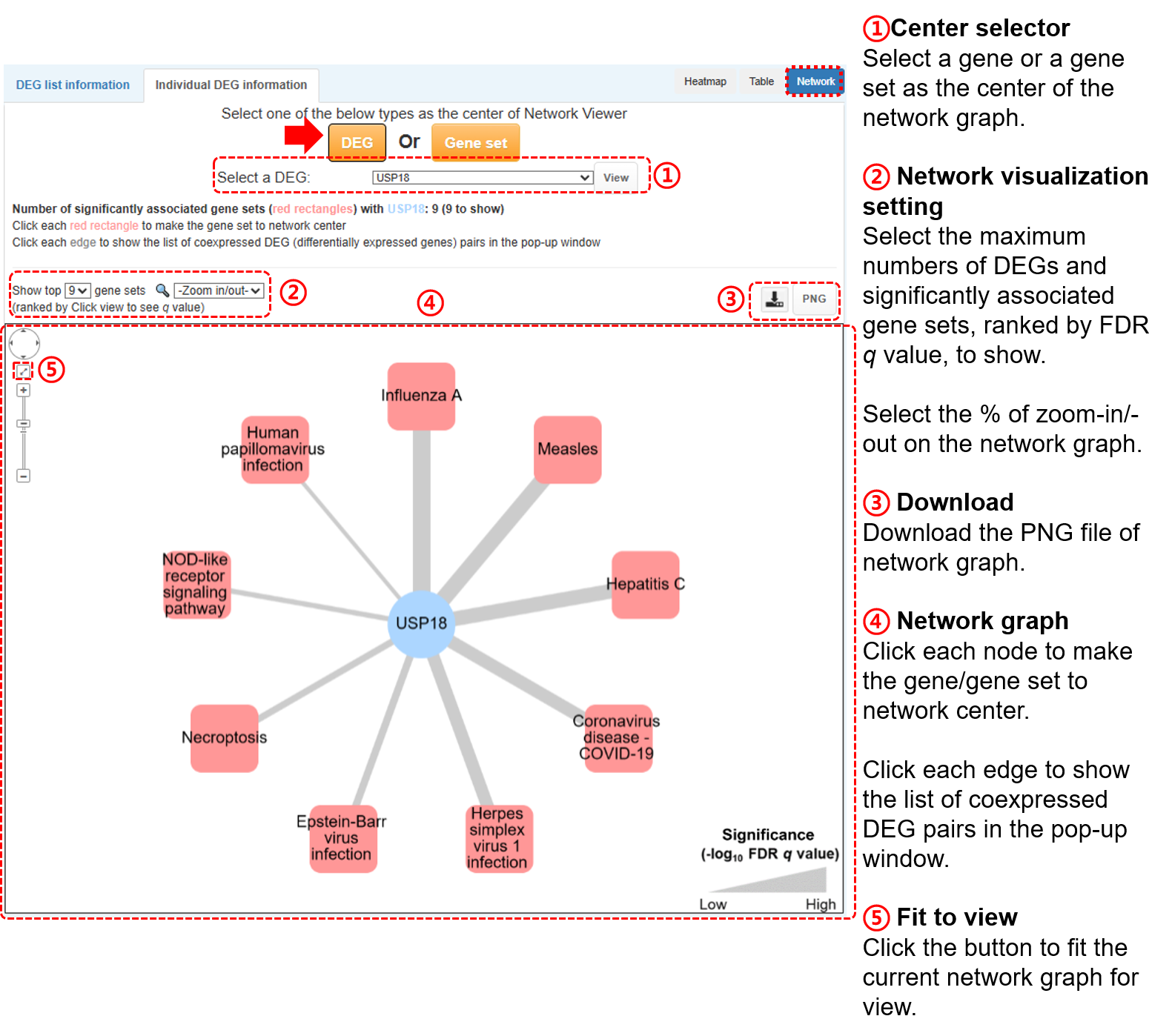 single_network1