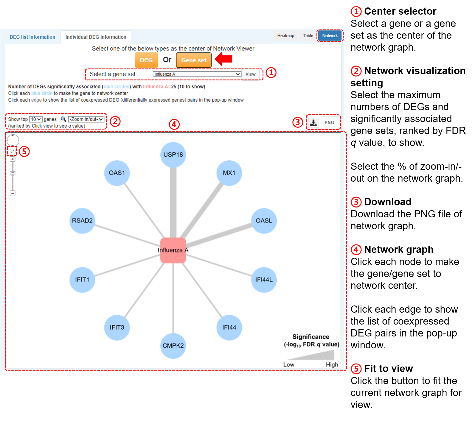 single_network2